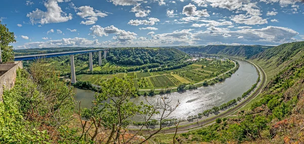 Panoramabild Über Die Mosel Mit Moseltalbrücke Und Weinbergen Bei Tagessonne — Stockfoto