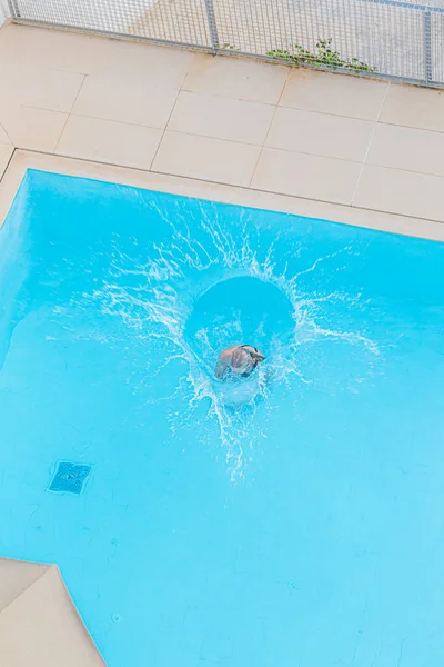 Picture Two Women Jumping Turquoise Blue Pool Taken — Φωτογραφία Αρχείου