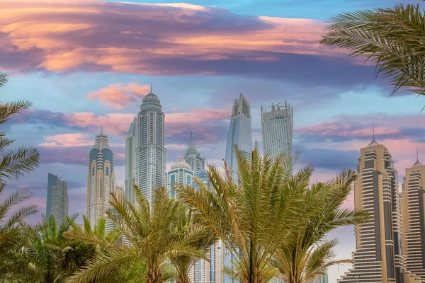 Image of modern skyscrapers with palm trees in foreground and evening red in sky