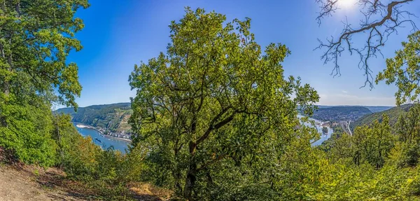 Image Rhine Bingen Vantage Point Day Summer — Stock Photo, Image