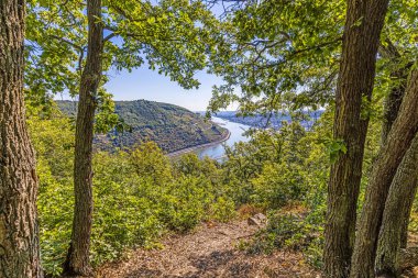Image of the Rhine near Bingen from a vantage point during the day in summer