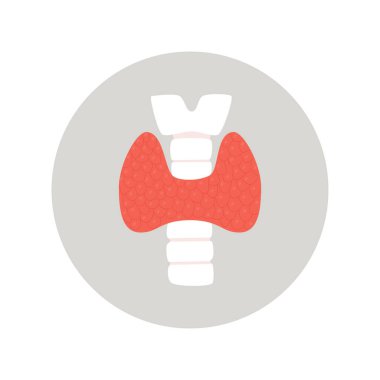 Tiroid bezi, endokrinoloji sistemi sembolü hormon üretiminden sorumlu organ. Düz vektör izole çizimi.