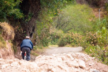 Urubamba Peru 'nun kırsal kesiminde bisiklet süren yaşlı bir adamın görüntüsü. Peru And Dağları kırsalında at süren bir adam.