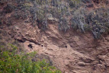 Kutsal Vadi 'nin resmi, Cusco. Peru 'daki en önemli vadilerden biri. Peru And Dağlarındaki Yüksek Dağ Vadisi.