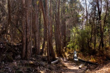 Cusco Peru 'da bir patika görüntüsü. Kutsal Vadi And Dağları 'ndaki Peru kırsal yolları.