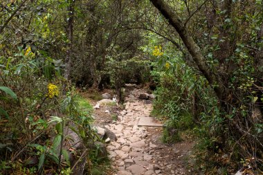 Cusco Peru 'da bir patika görüntüsü. Kutsal Vadi And Dağları 'ndaki Peru kırsal yolları.