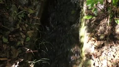 Cusco Peru 'daki su kanalı videosu. Tarım için su altyapısı.