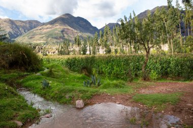 Cusco Peru 'daki su kanalı görüntüsü. Tarım için su altyapısı.