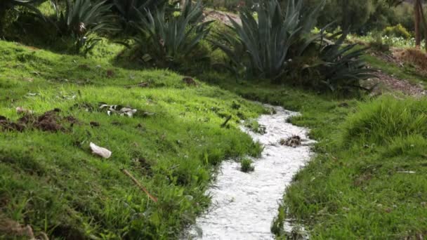 Filmik Kanałem Wodnym Peru Infrastruktura Wodna Dla Rolnictwa — Wideo stockowe