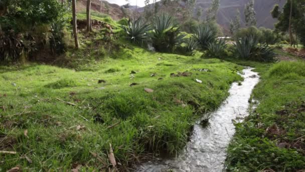 Видео Водного Канала Куско Перу Водная Инфраструктура Сельского Хозяйства — стоковое видео