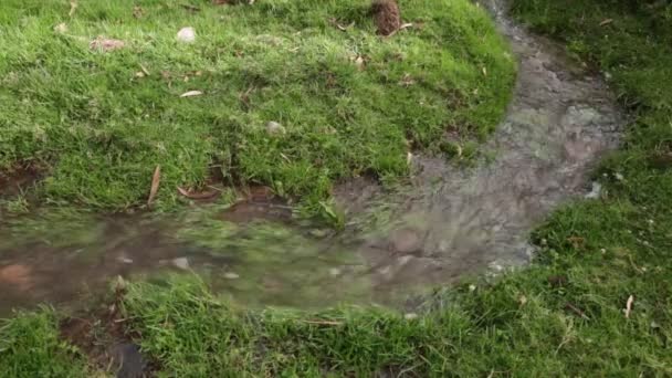 Βίντεο Από Κανάλι Νερού Στο Κούσκο Περού Υποδομή Υδάτων Για — Αρχείο Βίντεο