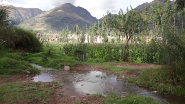 Video Vattenkanalen Cusco Peru Vatteninfrastruktur För Jordbruk — Stockvideo