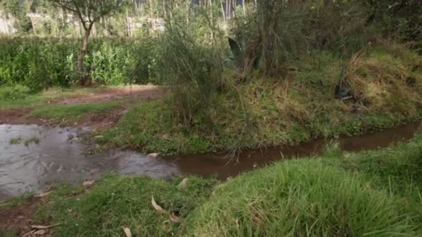 Видео Водного Канала Куско Перу Водная Инфраструктура Сельского Хозяйства — стоковое видео