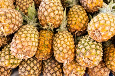Pazarda taze organik ananaslar. Peru And Dağları 'ndan tropik meyve.