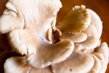 Masanın üzerinde organik mantar. Urubamba Cusco 'daki Peru And Dağları' nda yetişen doğal malzeme..