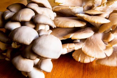 Masanın üzerinde organik mantar. Urubamba Cusco 'daki Peru And Dağları' nda yetişen doğal malzeme..