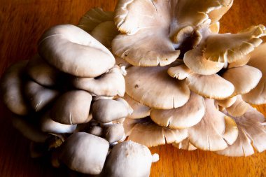 Masanın üzerinde organik mantar. Urubamba Cusco 'daki Peru And Dağları' nda yetişen doğal malzeme..