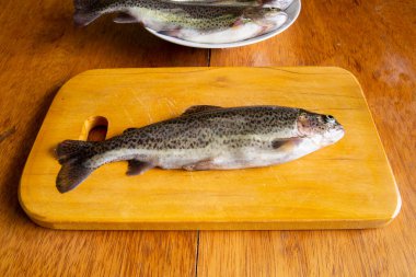 Pişirmek için taze alabalık hazırlıyorum. Peru And Dağlarından çiğ taze balık.