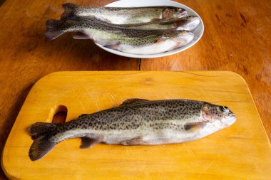 Pişirmek için taze alabalık hazırlıyorum. Peru And Dağlarından çiğ taze balık.