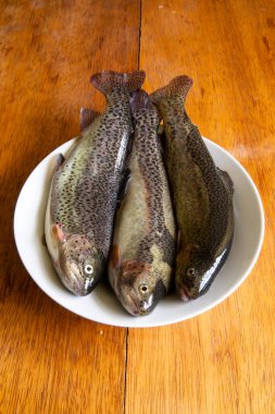 Pişirmek için taze alabalık hazırlıyorum. Peru And Dağlarından çiğ taze balık.