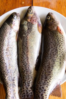 Pişirmek için taze alabalık hazırlıyorum. Peru And Dağlarından çiğ taze balık.