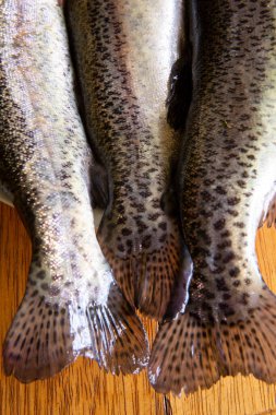 Pişirmek için taze alabalık hazırlıyorum. Peru And Dağlarından çiğ taze balık.