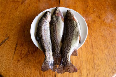 Pişirmek için taze alabalık hazırlıyorum. Peru And Dağlarından çiğ taze balık.