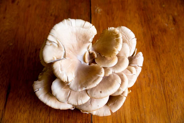 Champignon Bio Sur Une Table Ingrédient Naturel Cultivé Dans Les — Photo