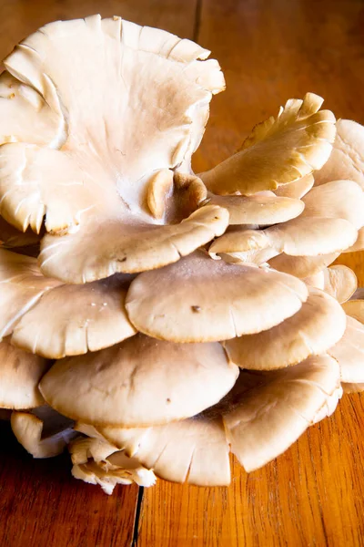Cogumelo Orgânico Sobre Uma Mesa Ingrediente Natural Cultivado Nos Andes — Fotografia de Stock