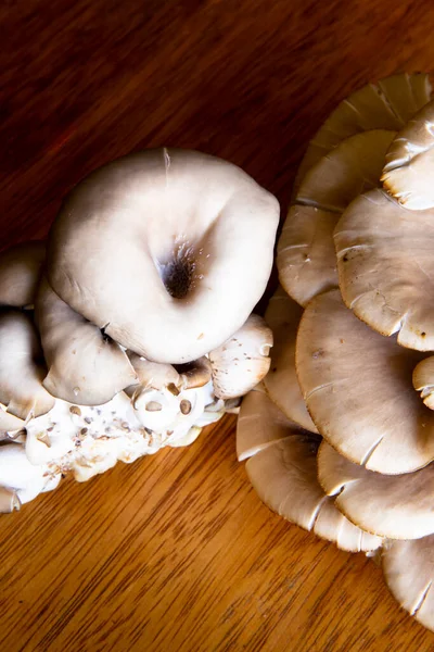 Champignon Bio Sur Une Table Ingrédient Naturel Cultivé Dans Les — Photo