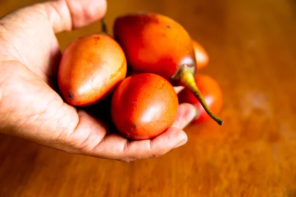 Tamarillo Noto Anche Come Sachatomate Simile Pomodoro Quechua Frutta Biologica — Foto Stock