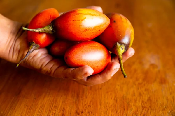 Tamarillo Φρούτα Επίσης Γνωστή Sachatomate Παρόμοια Ντομάτα Στην Κέτσουα Βιολογικά — Φωτογραφία Αρχείου