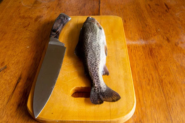 Příprava Čerstvého Pstruha Vaření Syrové Čerstvé Ryby Peruánských — Stock fotografie