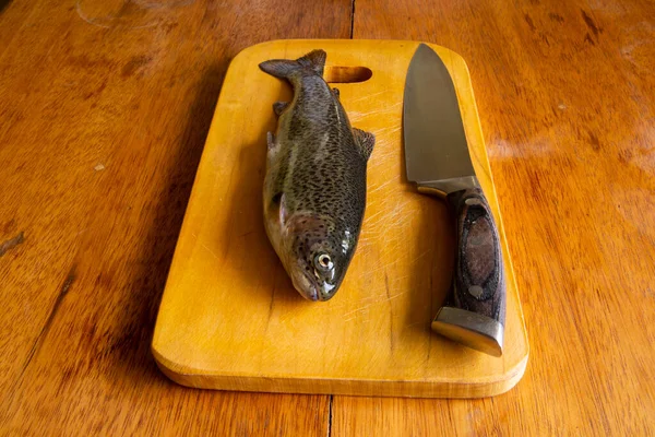 Bereiding Van Verse Forel Voor Het Koken Rauwe Verse Vis — Stockfoto