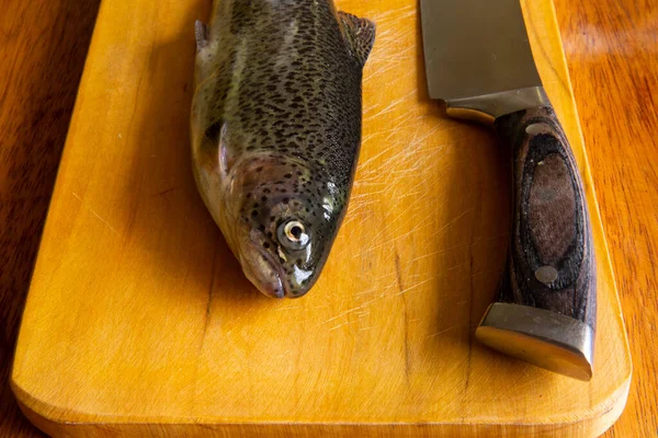 Bereiding Van Verse Forel Voor Het Koken Rauwe Verse Vis — Stockfoto