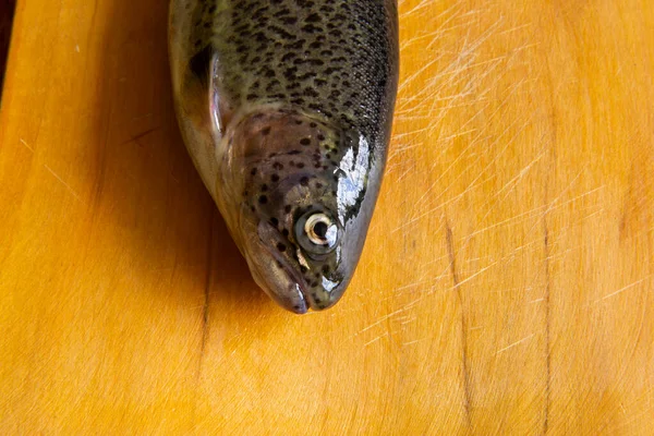 Zubereitung Von Frischen Forellen Zum Kochen Roher Frischer Fisch Aus — Stockfoto