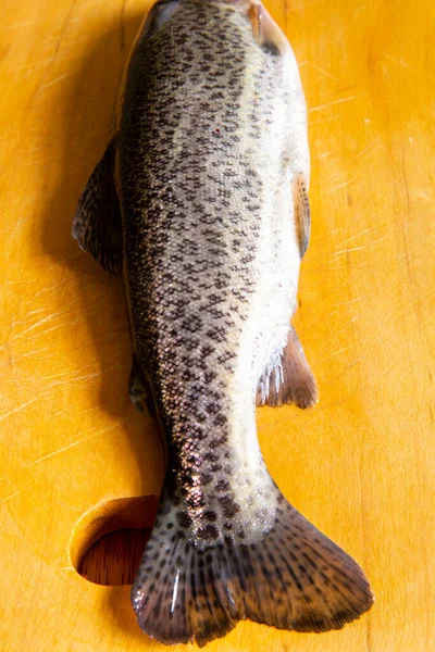 Preparazione Trote Fresche Cottura Pesce Fresco Crudo Delle Ande Peruviane — Foto Stock