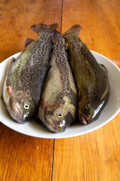 Bereiding Van Verse Forel Voor Het Koken Rauwe Verse Vis — Stockfoto