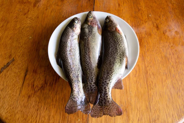 Bereiding Van Verse Forel Voor Het Koken Rauwe Verse Vis — Stockfoto