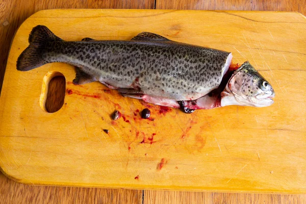 Bereiding Van Verse Forel Voor Het Koken Rauwe Verse Vis — Stockfoto