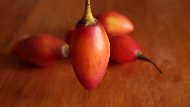 タマリーリョ Tamarillo ケチュア語で サカトマト Sachatate とも呼ばれる ペルーのアンデス産の有機果実 — ストック動画