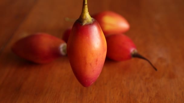 Tamarillo Fructe Asemenea Cunoscut Sub Numele Sachatomat Similar Roșiile Quechua — Videoclip de stoc