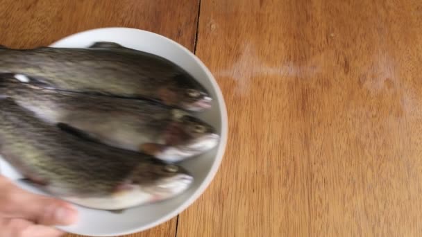 Preparación Trucha Fresca Para Cocinar Pescado Fresco Crudo Los Andes — Vídeo de stock