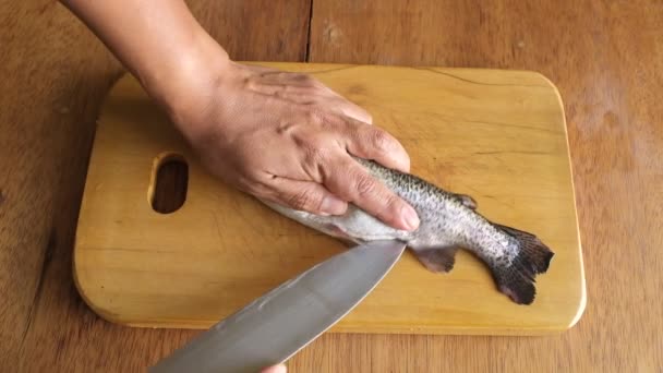 Подготовка Свежей Форели Приготовления Пищи Сырая Свежая Рыба Перуанских Анд — стоковое видео