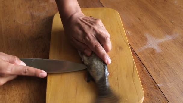 Preparação Truta Fresca Para Cozinhar Peixe Fresco Cru Dos Andes — Vídeo de Stock