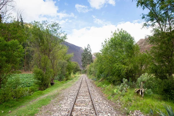 Peru And Dağları 'nın kırsal kesimlerinde demiryolu rayları var. Peru 'nun kutsal vadisinde kırsal bir manzara..