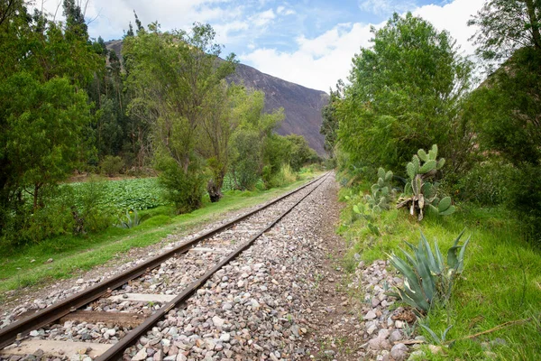Peru And Dağları 'nın kırsal kesimlerinde demiryolu rayları var. Peru 'nun kutsal vadisinde kırsal bir manzara..