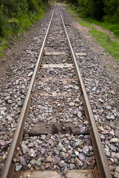 안데스의 지역의 철로입니다 의신성 계곡의 — 스톡 사진