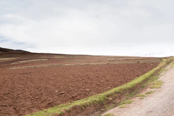 Campo Nos Andes Peruanos Campo Aberto Para Agricultura — Fotografia de Stock