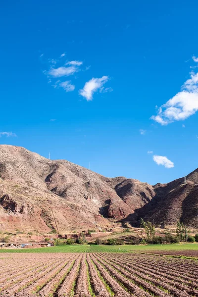 Peru Dağları Kırsalında Tarım Için Sürülmüş Tarla - Stok İmaj